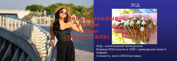 каннабис Покачи