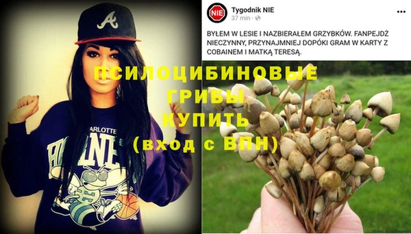 мяу мяу мука Александровское