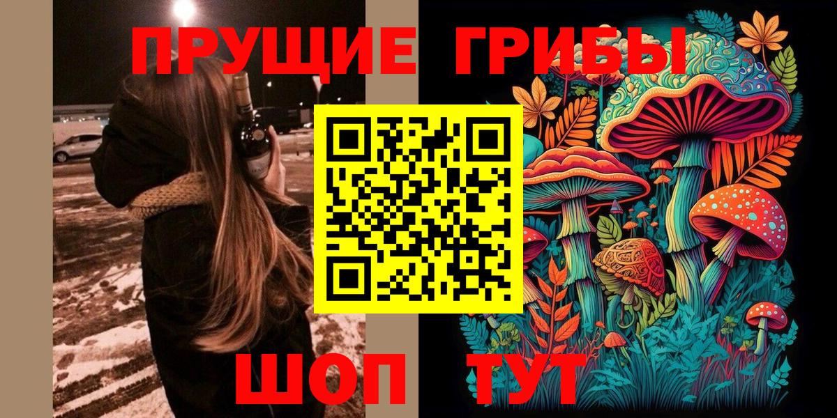 Апатиты  Псилоцибиновые грибы прущие грибы  Вход с VPN 