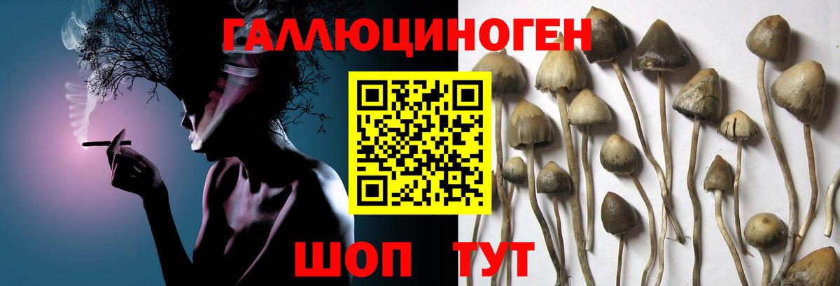 Псилоцибиновые грибы MAGIC MUSHROOMS Апатиты