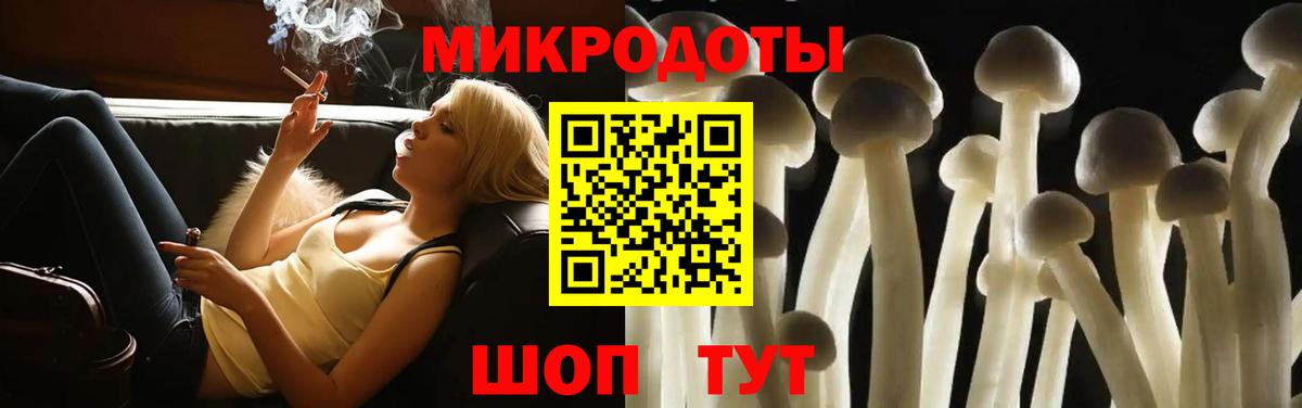 Галлюциногенные грибы Psilocybe  Псилоцибиновые грибы Magic Shrooms  Апатиты 