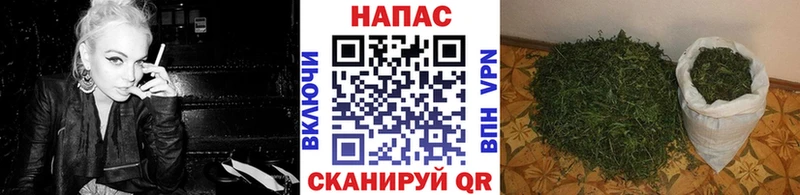 Марихуана Amnesia  маркетплейс наркотические препараты  Апатиты  купить  